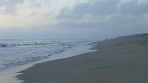 Late Afternoon: La Barra I, 2015