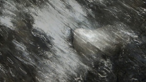 Body / Stone / Water I, 2010