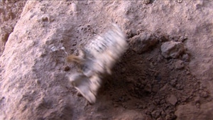 Fragment No. 3, 2009