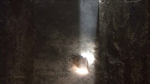 Dust, 2009