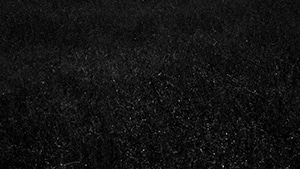 Grass, Series I, No. 1, 2016