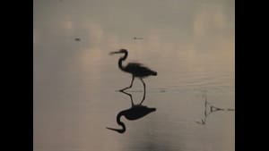 Movements, 2005