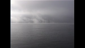 Providence Island, 2002