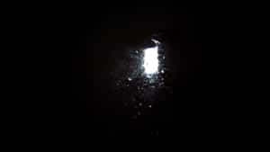 Reflection / Auschwitz II, 2011