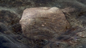 Untitled III, 2010