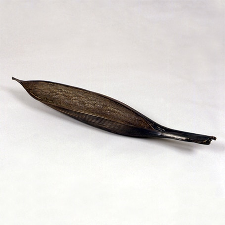 Pods