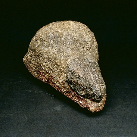 Heads (1977 -)