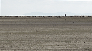 Procession, 2018-2023