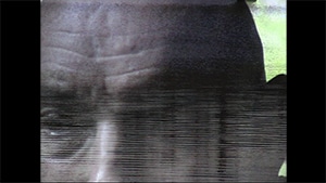 Ben, 2001