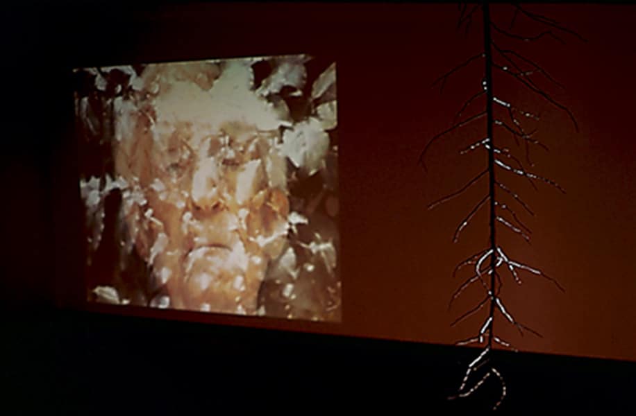 Extensions, 2002