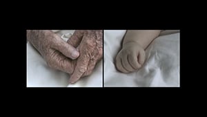Time Passing, 2005