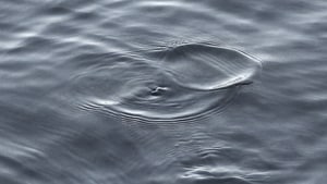 Water Over Stone No. 3, 2021