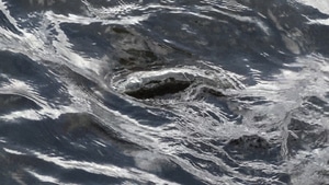 Water Over Stone No. 4, 2021
